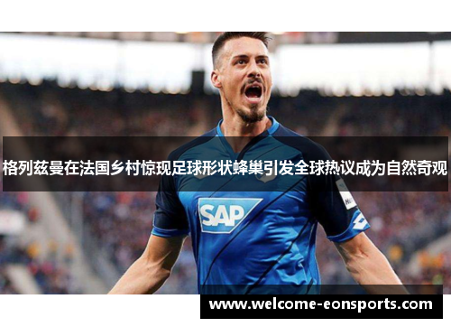 格列兹曼在法国乡村惊现足球形状蜂巢引发全球热议成为自然奇观