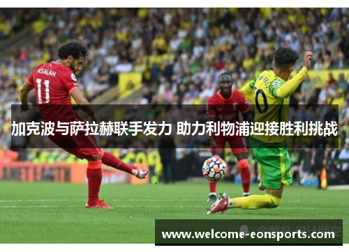 加克波与萨拉赫联手发力 助力利物浦迎接胜利挑战