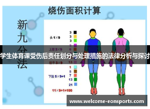 学生体育课受伤后责任划分与处理措施的法律分析与探讨
